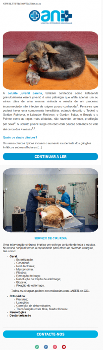 Newsletter+Ani+Nov2021