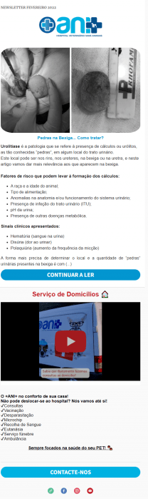 +ANI+ Newsletter Fevereiro 2022
