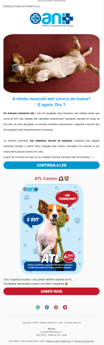 07-newsletter-julho