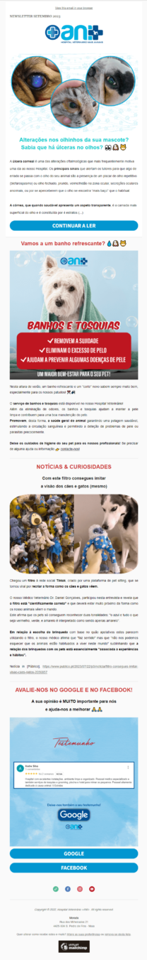 07-newsletter-julho